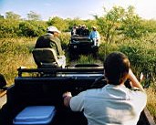 d view gomo gomo scan575.jpg